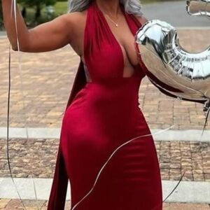 Red V-Cut / body-con Dress